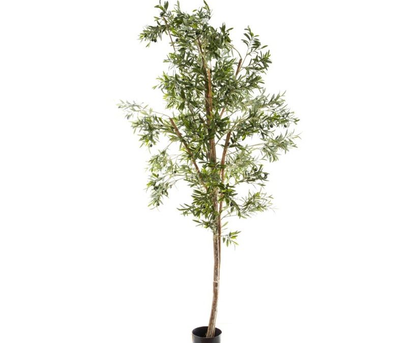 Artificial Olive Tree 2.4mt on natural timber