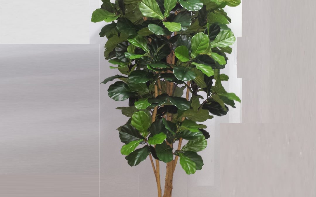 Artificial Fiddle Leaf Tree 2mt – 372 lvs