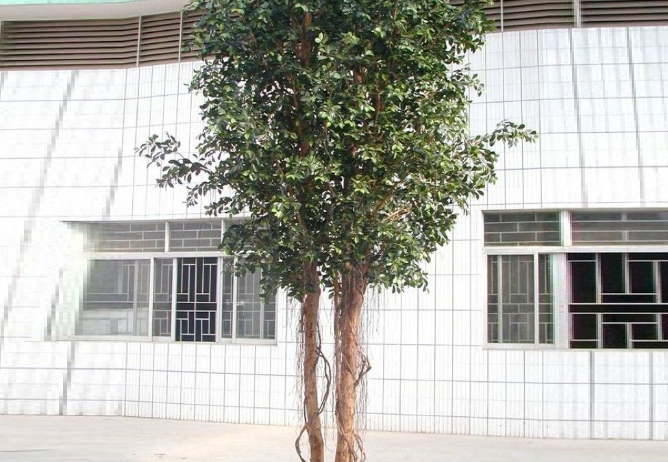 Ficus Retusa 3mt Giant Atificial Tree