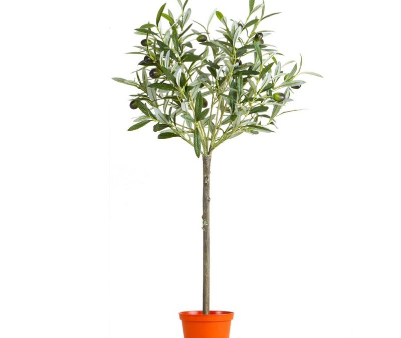 Olive Tree 65cm 312 lvs with realistic fruits-Artificial