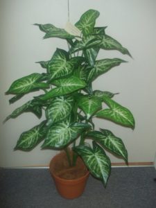 Artificial Syngonium Plant 90cm