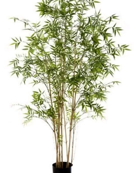 Artificial Bamboo Tree Oriental 1.9mt