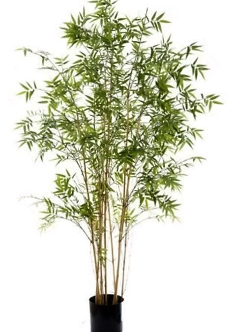 Artificial Bamboo Tree “Oriental” 1.9mt natural poles