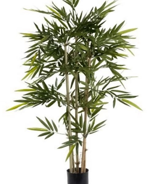 Bamboo Tree 120cm on natural stems