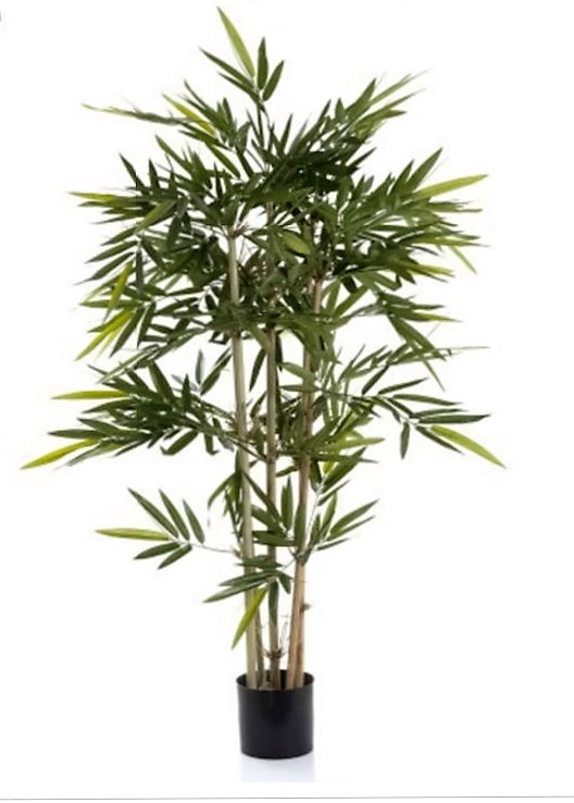 Bamboo Tree 120cm on natural stems