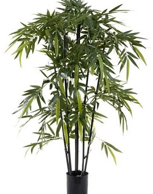 Artificial Bamboo Tree 1.5mt Black on natural timber poles