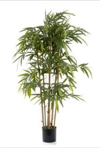 Bamboo Tree 1.5mt on natural stem