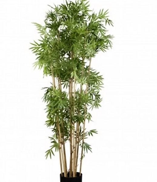 Artificial Bamboo Tree 1.6mt Japanese