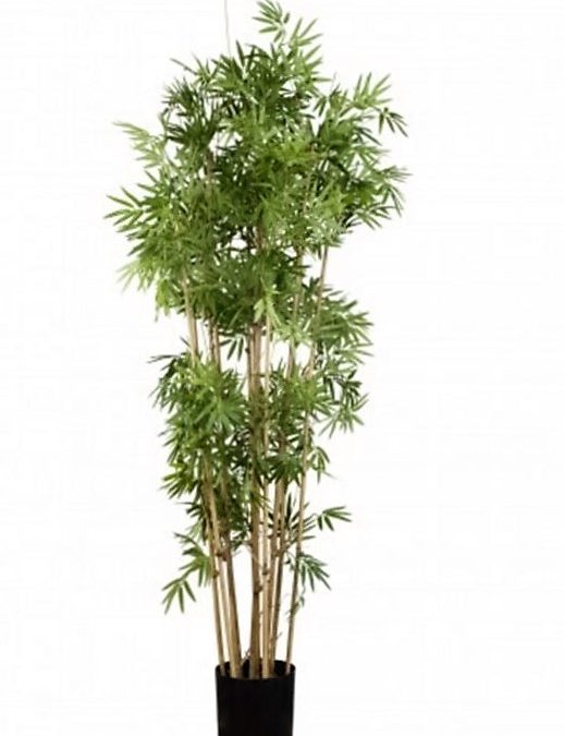 Artificial Bamboo Tree 1.6mt Japanese on natural Bamboo poles
