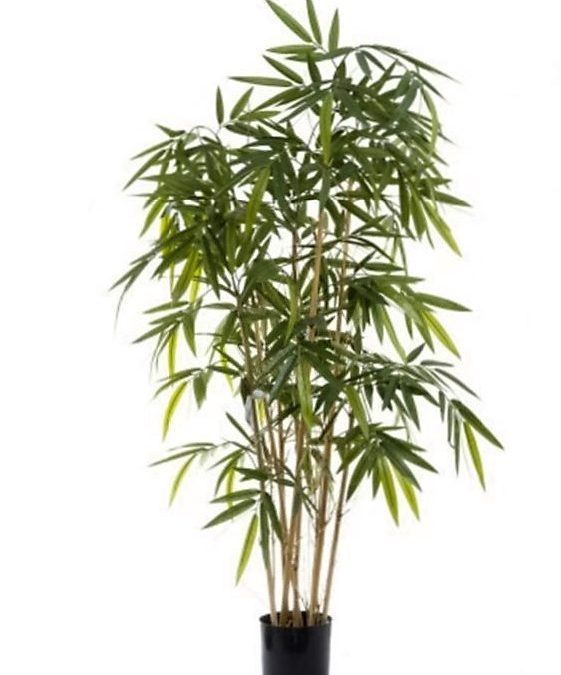 Artificial Bamboo Tree 1.6mt natural Bamboo