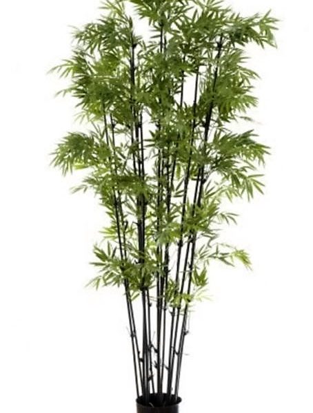 Artificial Bamboo Tree 1.9mt Black