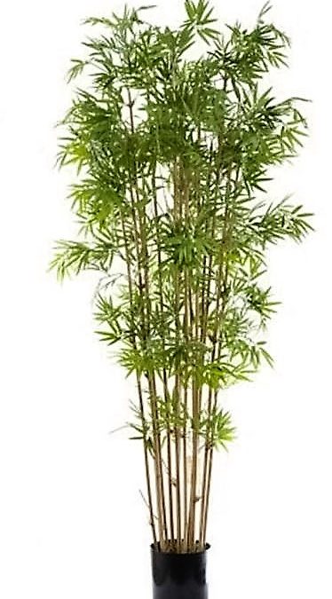 Artificial Bamboo Tree 1.9mt Japanese Bamboo