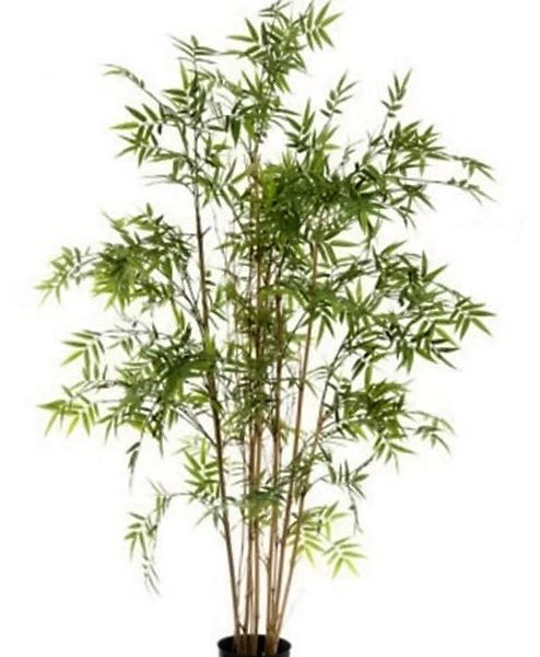 Artificial Bamboo Tree Oriental 1.6mt