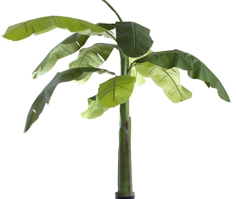 Banana Tree 240cm – Artificial Silk Trees And Plants