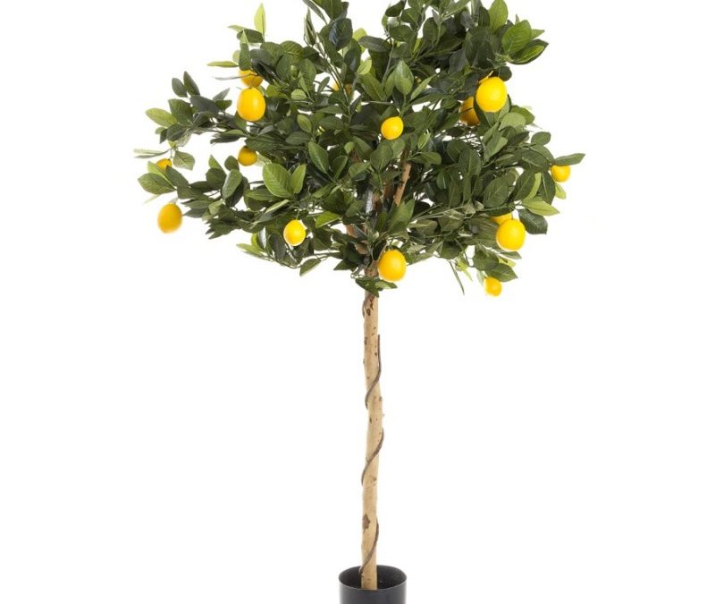 Artificial Lemon Tree Topiary 91cm – Quality Artificial Plants.