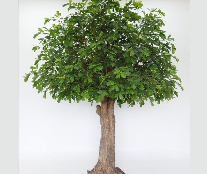 Artificial Oak Tree 3.1mt Giant Tree with 7656 Lvs