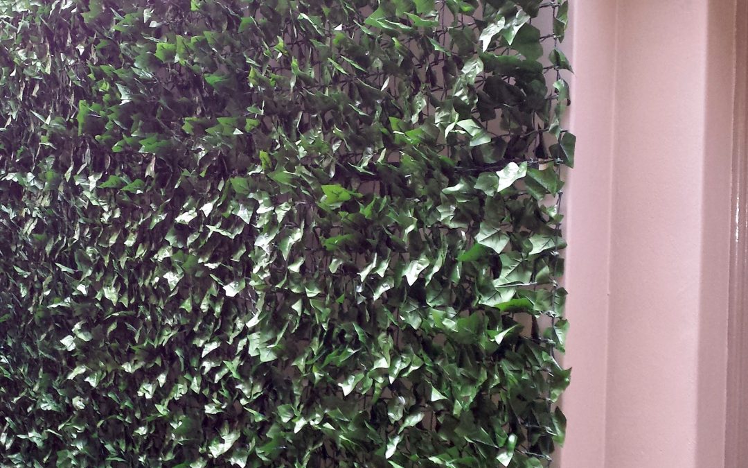 Ivy Wall Interior – Artificial screen