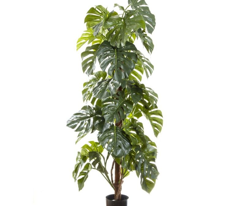 Artificial Split Leaf Philo – Monstera Tree 1.8mt