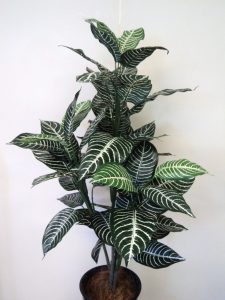 Artificial Zebra Plant 90cm