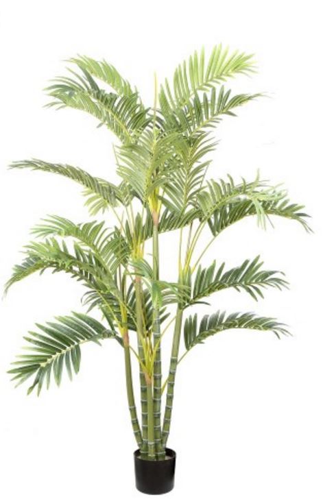 Artificial Golden Cane Palm 1.5mt multi trunks