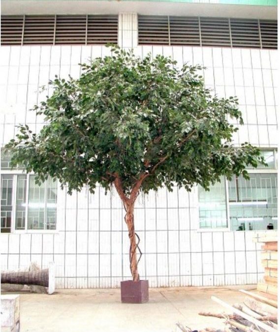 Artificial Ficus Exotica Giant Tree 3mt – 9680 lvs