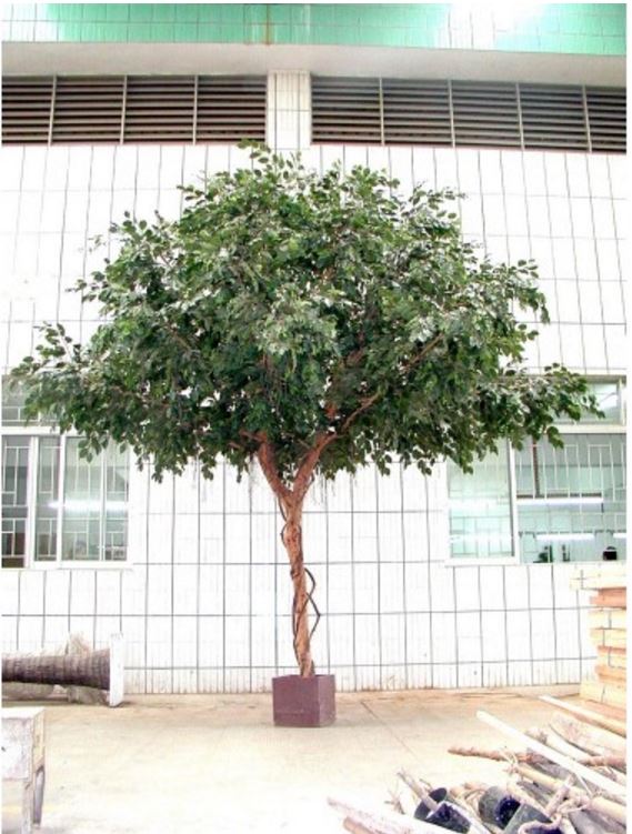 Artificial Ficus Exotica Giant Tree 3mt