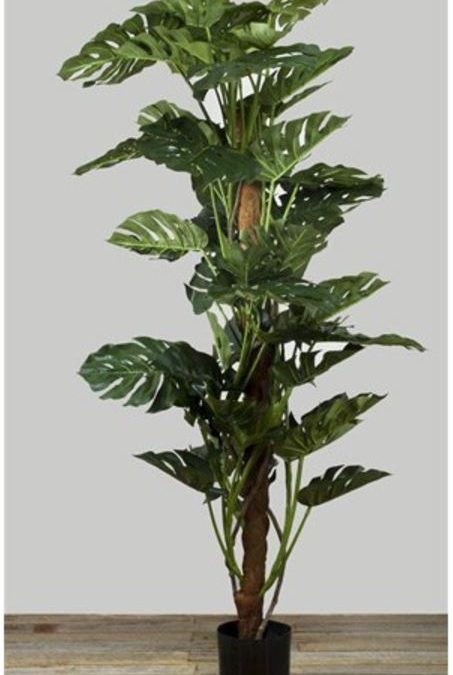 Artificial Split Leaf Philo Monstera Tree 2mt