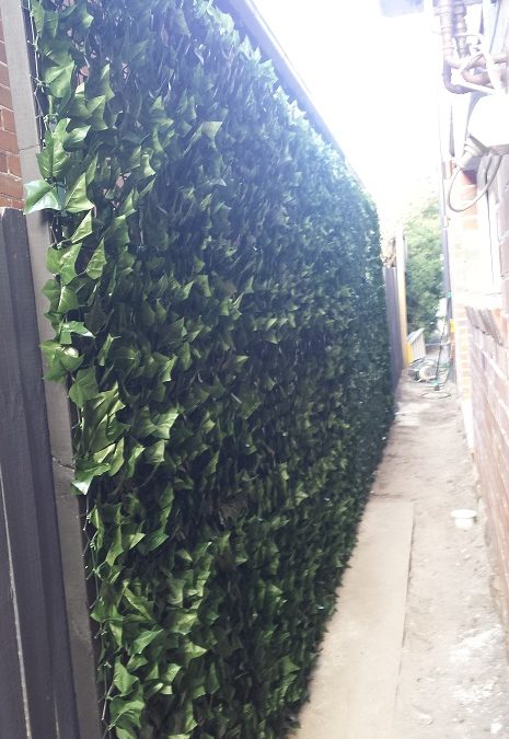 Artificial Ivy Wall – Before/After