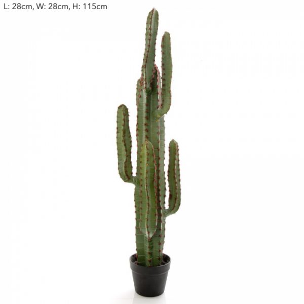 Desert Cactus 1.2mt