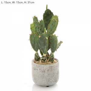 Artificial Prickly Pear Cactus 31cm