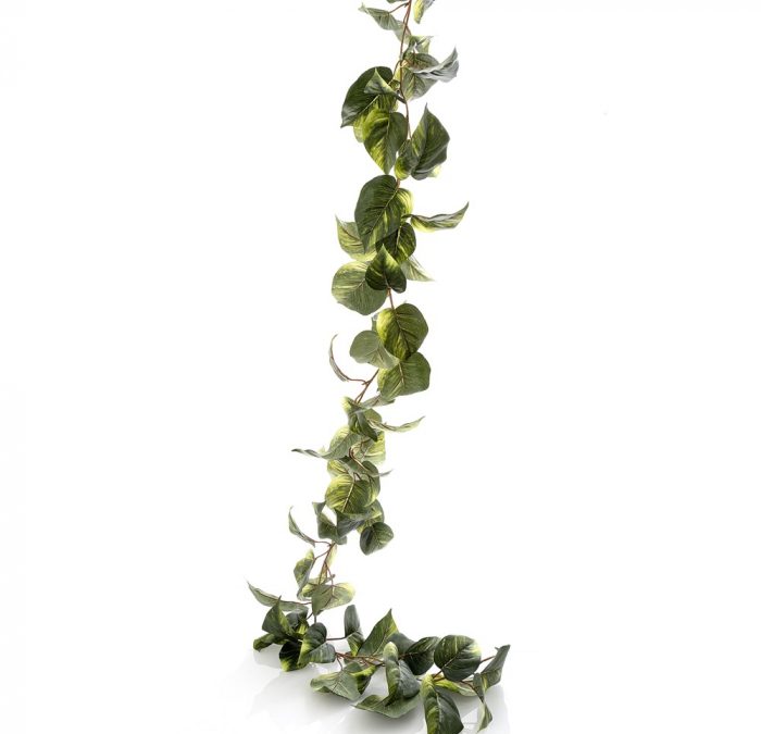 Devils Ivy Pothos Artificial Garland 180cm – Cream/Green – Box of 6