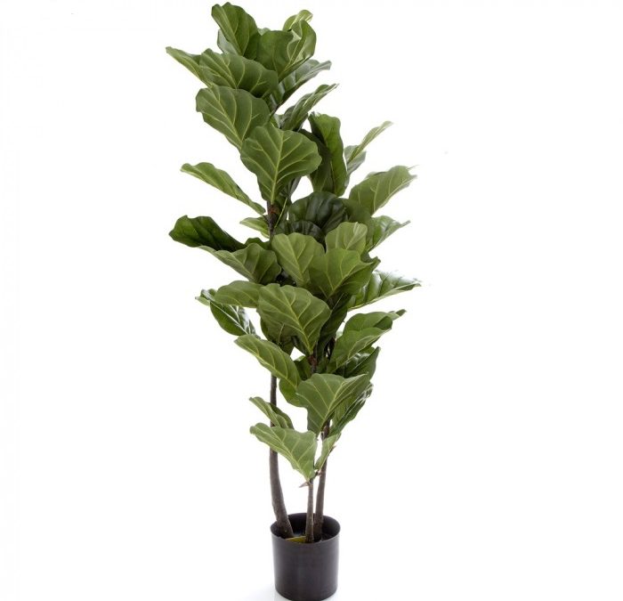 Artificial Fiddle Leaf Tree 135cm-realistic-trunk-60 realistic lvs