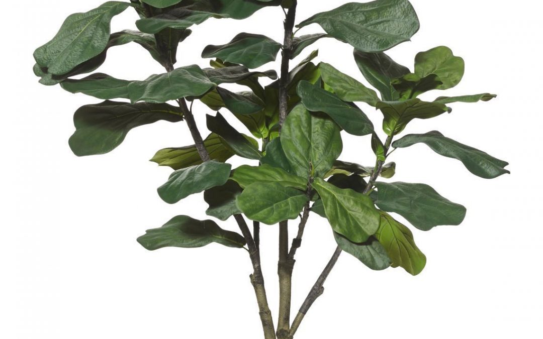Artificial Fiddle Leaf Tree 180cm-60 realistic lvs