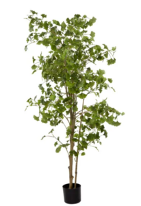Artificial Ginko Tree 180cm