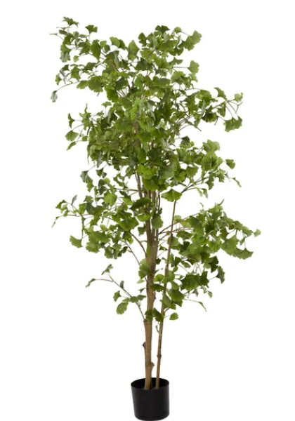 Artificial Ginko Tree 180cm