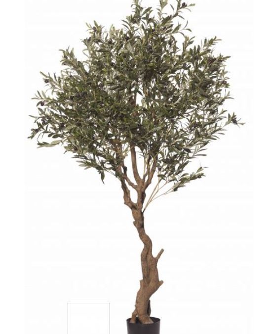 Artificial-Olive-Tree-2mt-realistic-fruit-realistic-trunk