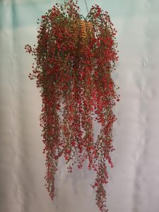 Red-Shell-Hanging-Bush-1mt-double-Artificial-Hanging-plants