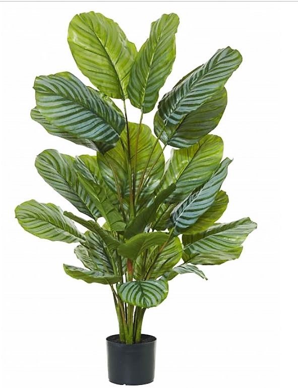 Artificial Calathea Plant 115cm x 22 large round leaves