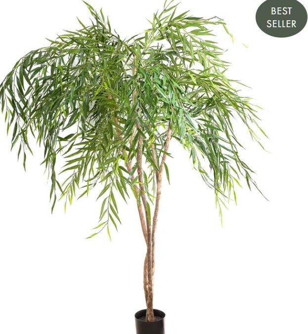 Weeping Willow Tree 240cm – Artificial tree natural trunks