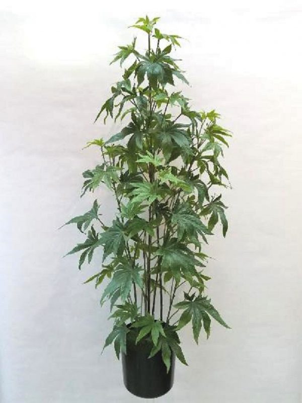 artificial marijuana nsw au nsw au - fake cannabis marijuana plant