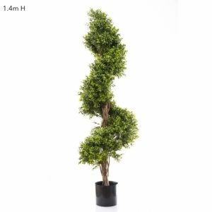 Boxwood spiral tree 140cm on natural timber trunk
