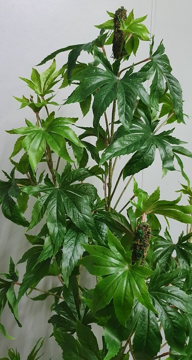 Artificial-Marijuana-Plant-130cm-with-buds-–-fake-cannabis-marijuana-plant-2.jpg