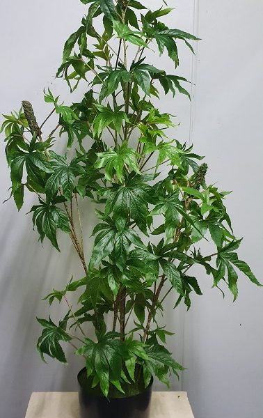 Artificial Marijuana Plant 130cm with buds – fake cannabis marijuana plant
