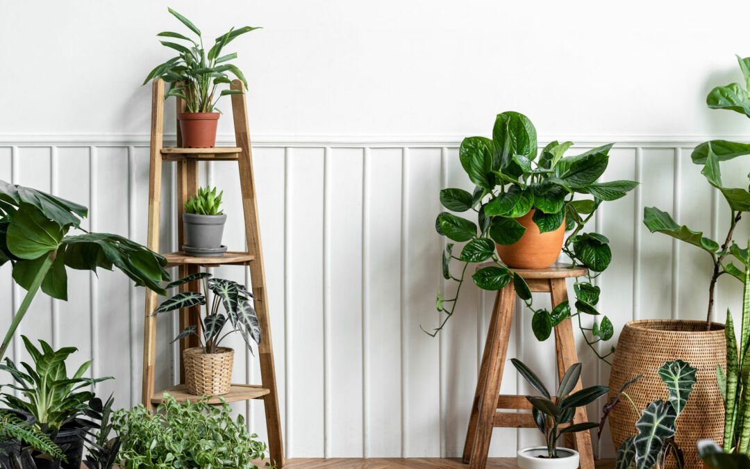 10 Best Artificial Indoor Plants Trending in 2023