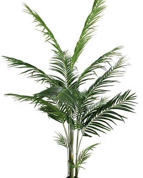 Artificial Areca Palm-multi 183cm