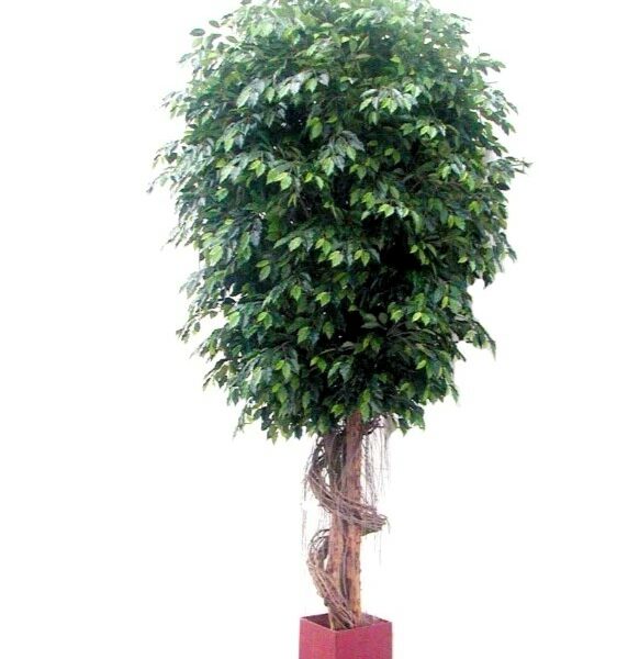 Artificial-Giant-Fat-Ficus-Tree-6.1mt