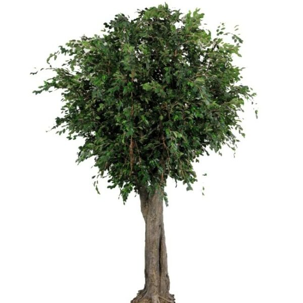 Artificial Giant Ficus Exotica 6mt tree