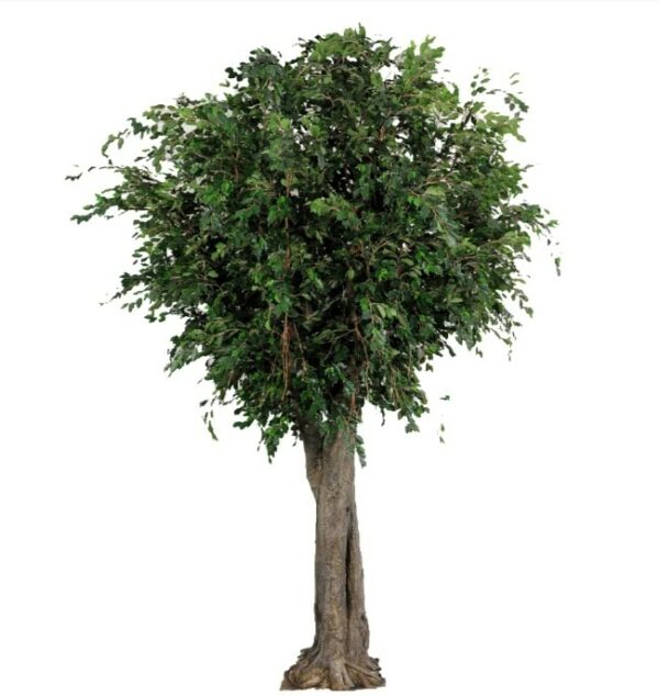 Artificial Giant Ficus Exotica 6mt tree