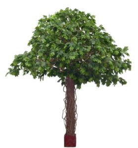 Artificial Maple Llana Tree 5.5mt on natural timber