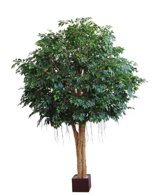 Artificial Mixed Ficus Giant Tree 3.8mts